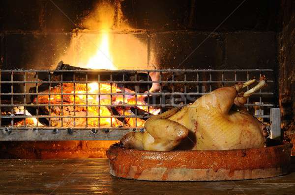 Turkije bereid oven brand kip vlees Stockfoto © asturianu