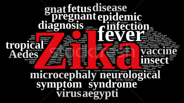 Word cloud virus illustrazione tropicali insetto diagnosi Foto d'archivio © asturianu