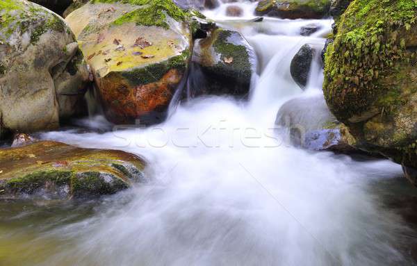 Small waterfall. Stock photo © asturianu