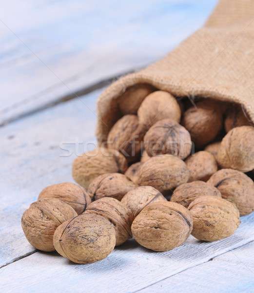 Walnuts. Stock photo © asturianu