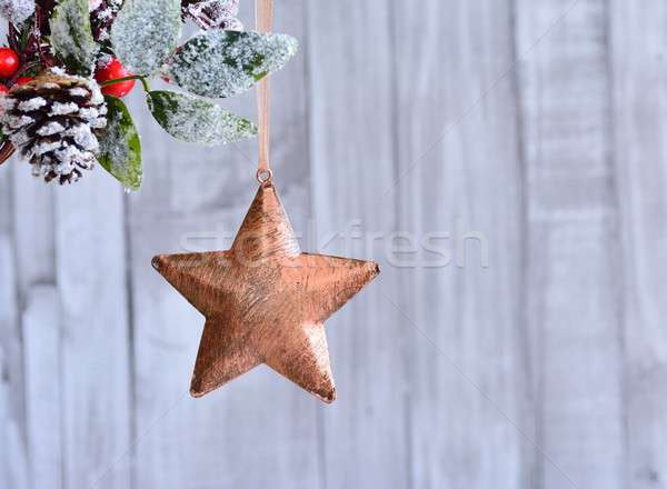 Foto d'archivio: Natale · star · impiccagione · Berry · primo · piano · bronzo