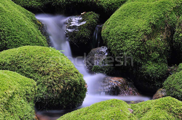 Cascadă cascade râu pădure natură verde Imagine de stoc © asturianu
