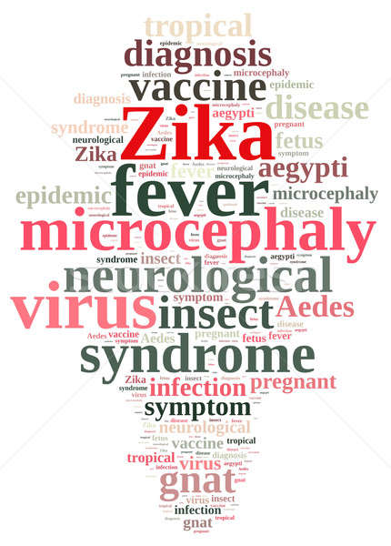 Word cloud on the Zika virus. Stock photo © asturianu