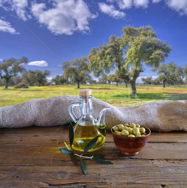 Olive oil. Stock photo © asturianu