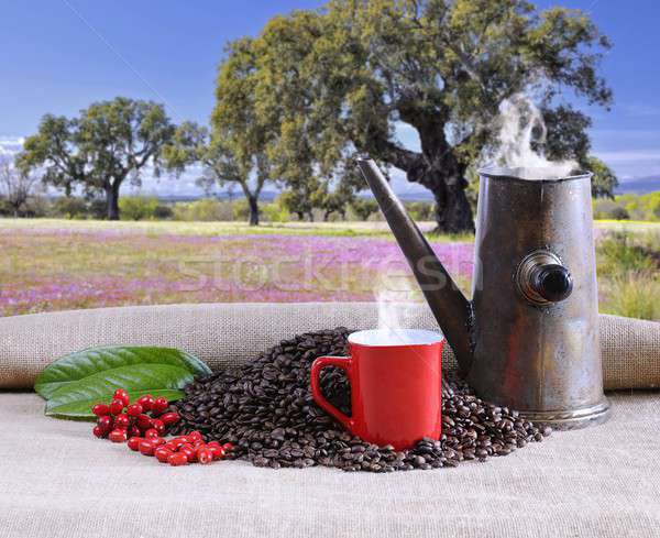 Coffee cup with old pot. Stock photo © asturianu