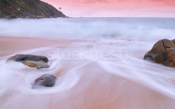 árapály édenkert tengerpart naplemente víz tájkép Stock fotó © asturianu