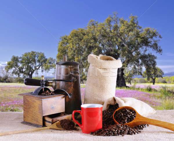 Bag of coffee beans. Stock photo © asturianu