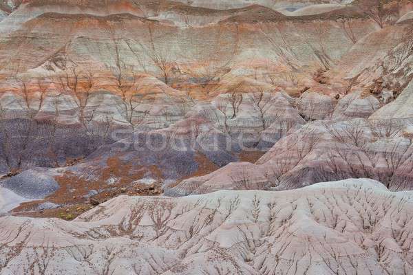 Petrified Forest National Park, USA. Stock photo © asturianu