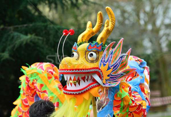 Holiday decorative chinese dragon  Stock photo © asturianu