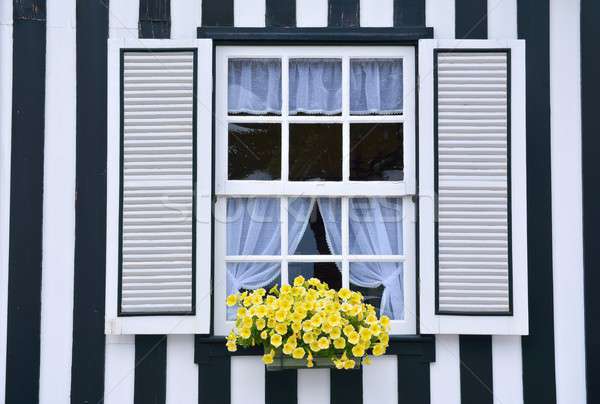 Window in an old house decorated with flower. Stock photo © asturianu