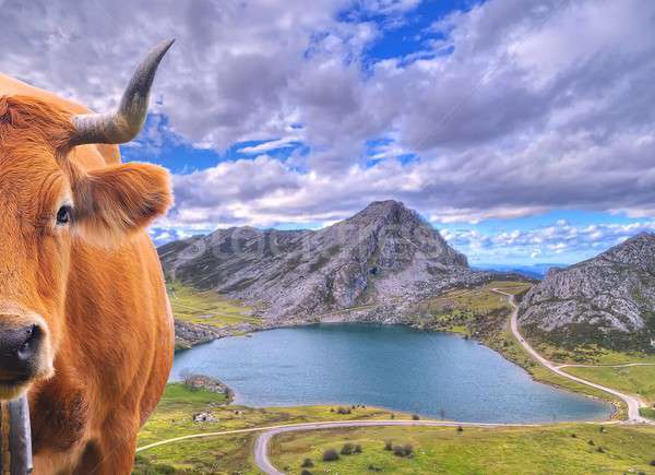 Covadonga Lakes, Asturias. Stock photo © asturianu