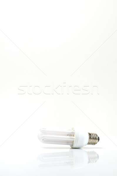 Yeşil enerji enerji ampul ev ışık Stok fotoğraf © asturianu