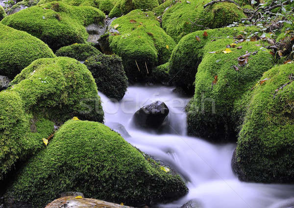 Fresh water. Stock photo © asturianu