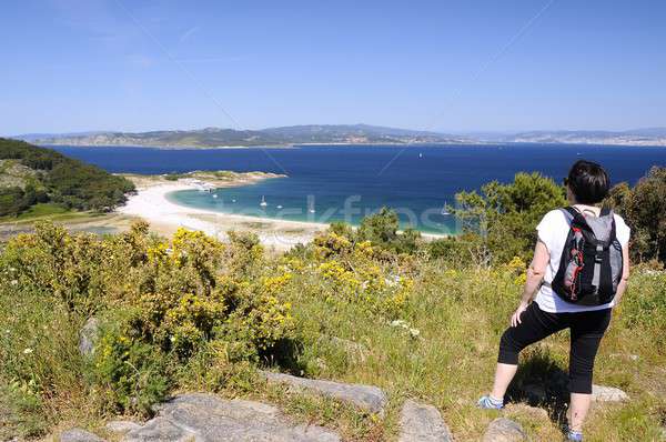 Cies islands in Vigo, Spain. Stock photo © asturianu