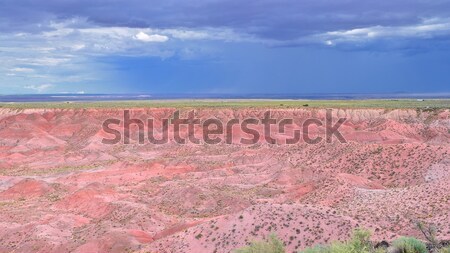 Petrified Forest National Park, USA. Stock photo © asturianu