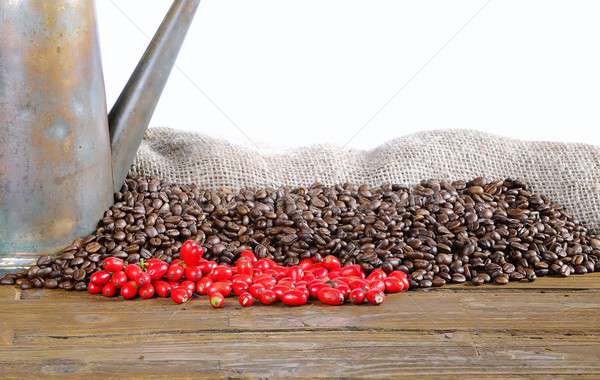 Bag of coffee beans. Stock photo © asturianu