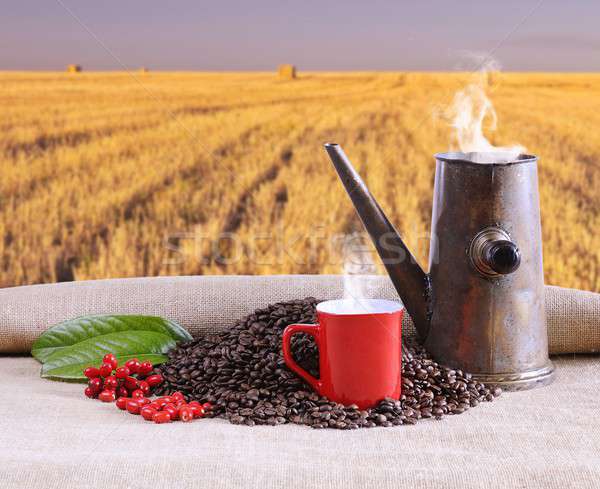 Coffee cup with old pot. Stock photo © asturianu