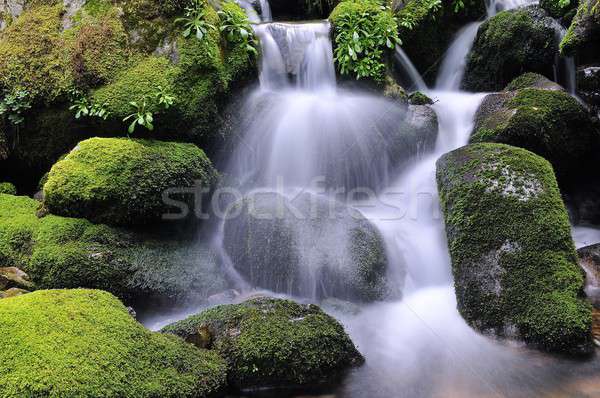Waterfall Stock photo © asturianu