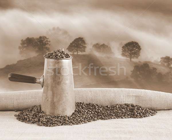 Coffee beans. Stock photo © asturianu