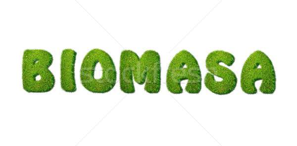 Biomassa illustratie gras woord witte textuur Stockfoto © asturianu