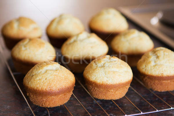 Zwölf frisch gebacken Vanille Muffins Metall Stock foto © avdveen
