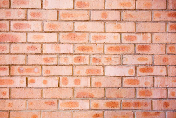 Red brick wall Stock photo © avdveen
