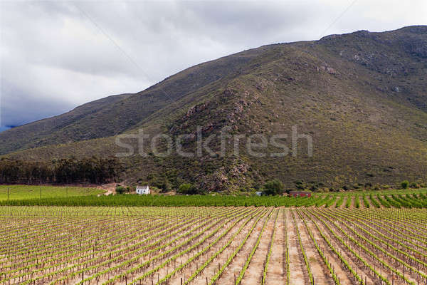 Pequeño casa blanca vina montanas montana cielo Foto stock © avdveen