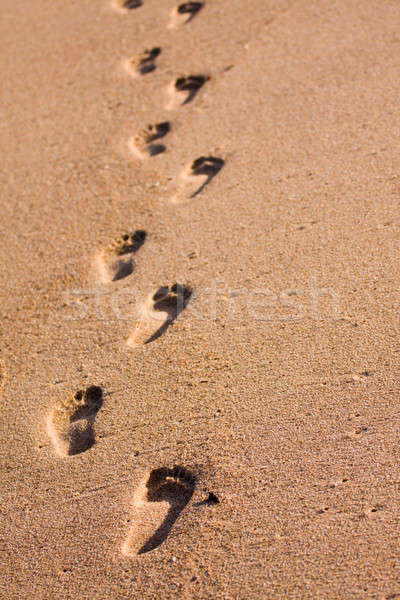 Lábnyomok tengerpart csetepaté láb vezető messze Stock fotó © avdveen