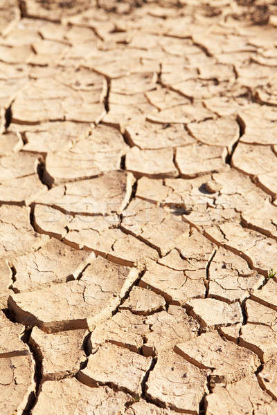 Dry cracked mud in dried up waterhole Stock photo © avdveen