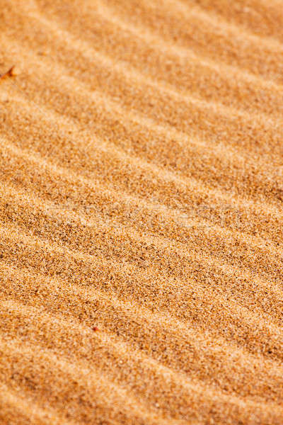 Foto stock: Ondulação · padrões · areia · da · praia · vento · textura · sol