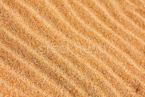 Hullám minták tengerparti homok szél tengerpart textúra Stock fotó © avdveen