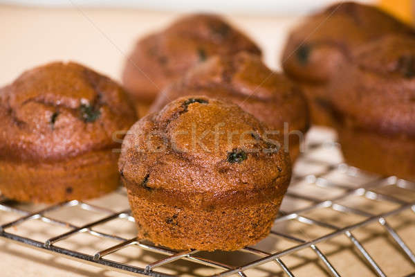 Frissen sült muffinok hat menta hűtés Stock fotó © avdveen
