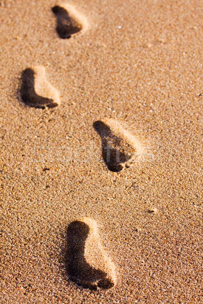 Footprints on the beach sand Stock photo © avdveen