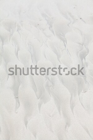 Interesting patterns on the beach sand Stock photo © avdveen