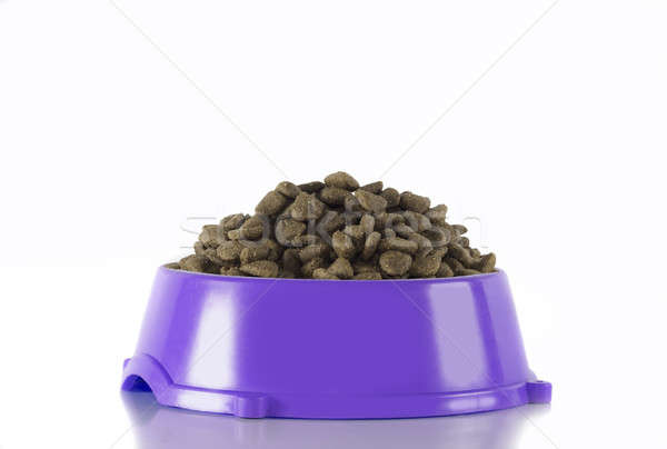 Dog food in purple bowl, white studio background Stock photo © AvHeertum