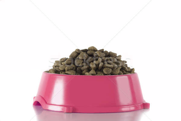 Dog food in pink bowl, white studio background Stock photo © AvHeertum