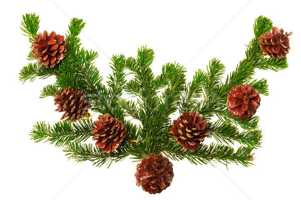 圣诞节 装饰 孤立 白树 背景 商业照片 avlntn