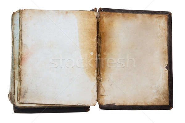 Vintage libro aislado blanco Foto stock © Avlntn