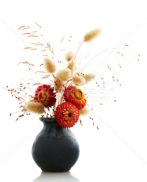 ikebana on white Stock photo © Avlntn