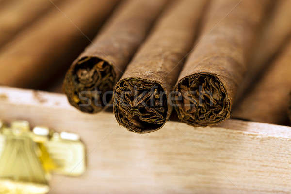 cigars   Stock photo © avq