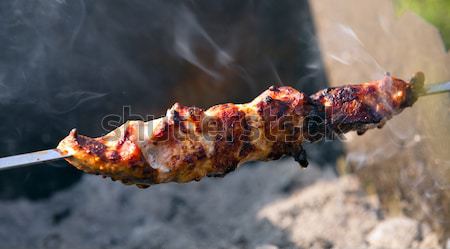 Kebab Essen Rauch Farben Steak Picknick Stock foto © avq