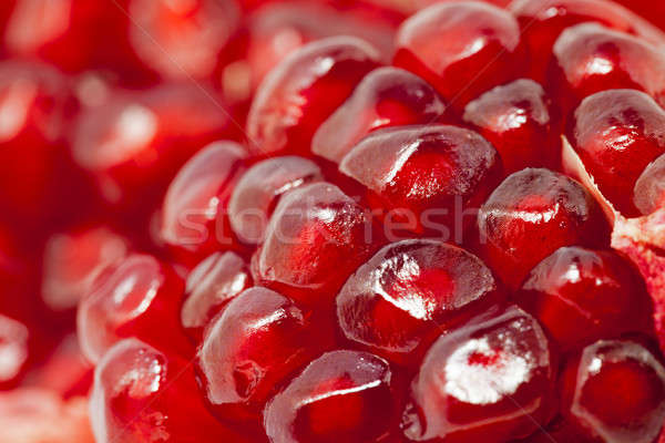 Grenade rouge maturité fond [[stock_photo]] © avq