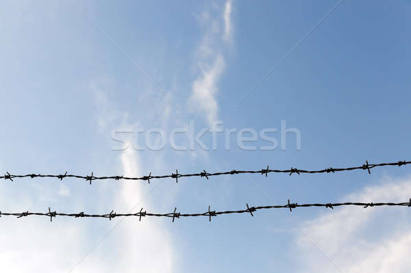 barbed wire, sky Stock photo © avq