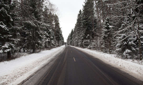 the winter road in the wood  Stock photo © avq