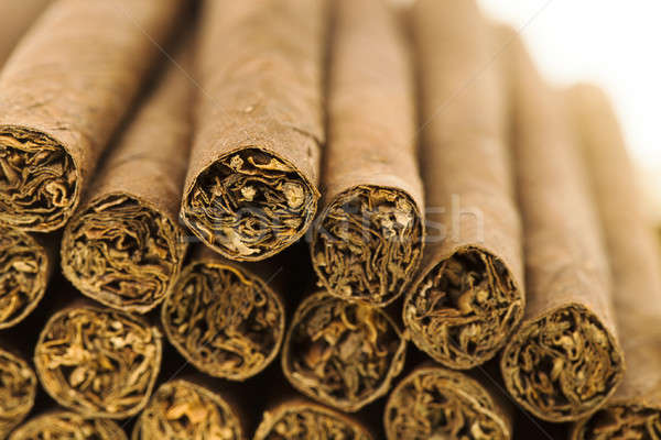 cigars   Stock photo © avq