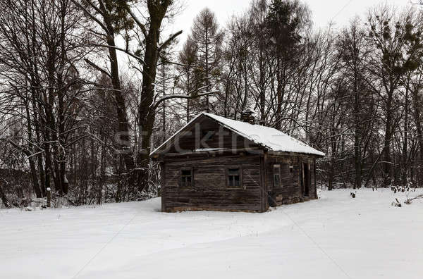 Vieux bois abandonné maison détruit village Photo stock © avq