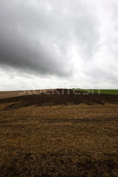 plowed earth   Stock photo © avq