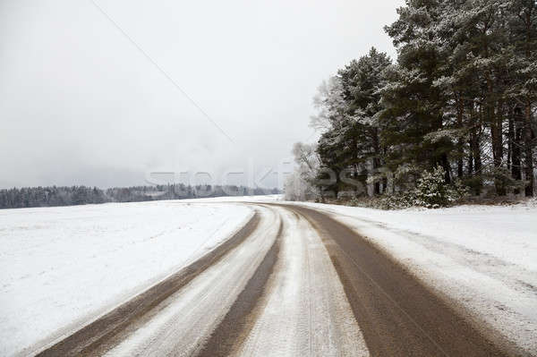 the winter road   Stock photo © avq