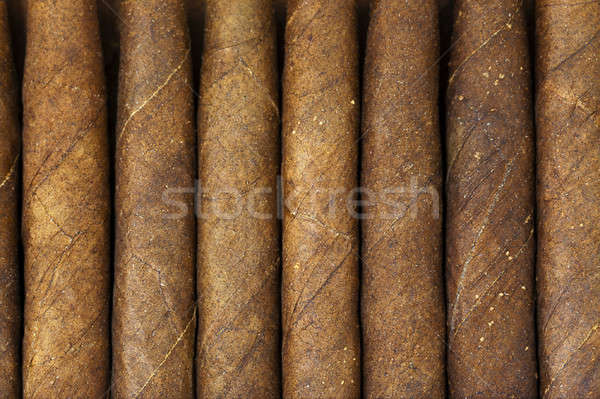 cigars   Stock photo © avq