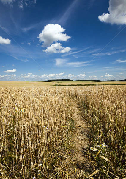Сток-фото: области · небольшой · сельскохозяйственный · дороги · пейзаж · синий